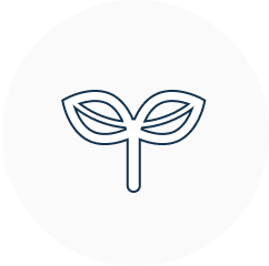 株式会社の設立